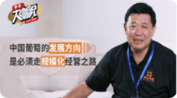 中国普通的发展方向 是必须走规模化经营之路