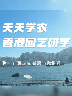 与香港园艺学会联合举办香港园艺研学，专业园境师带队讲解。